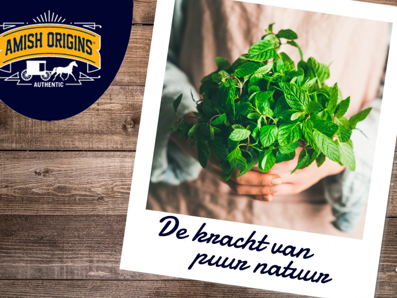 de-kracht-van-puur-natuur